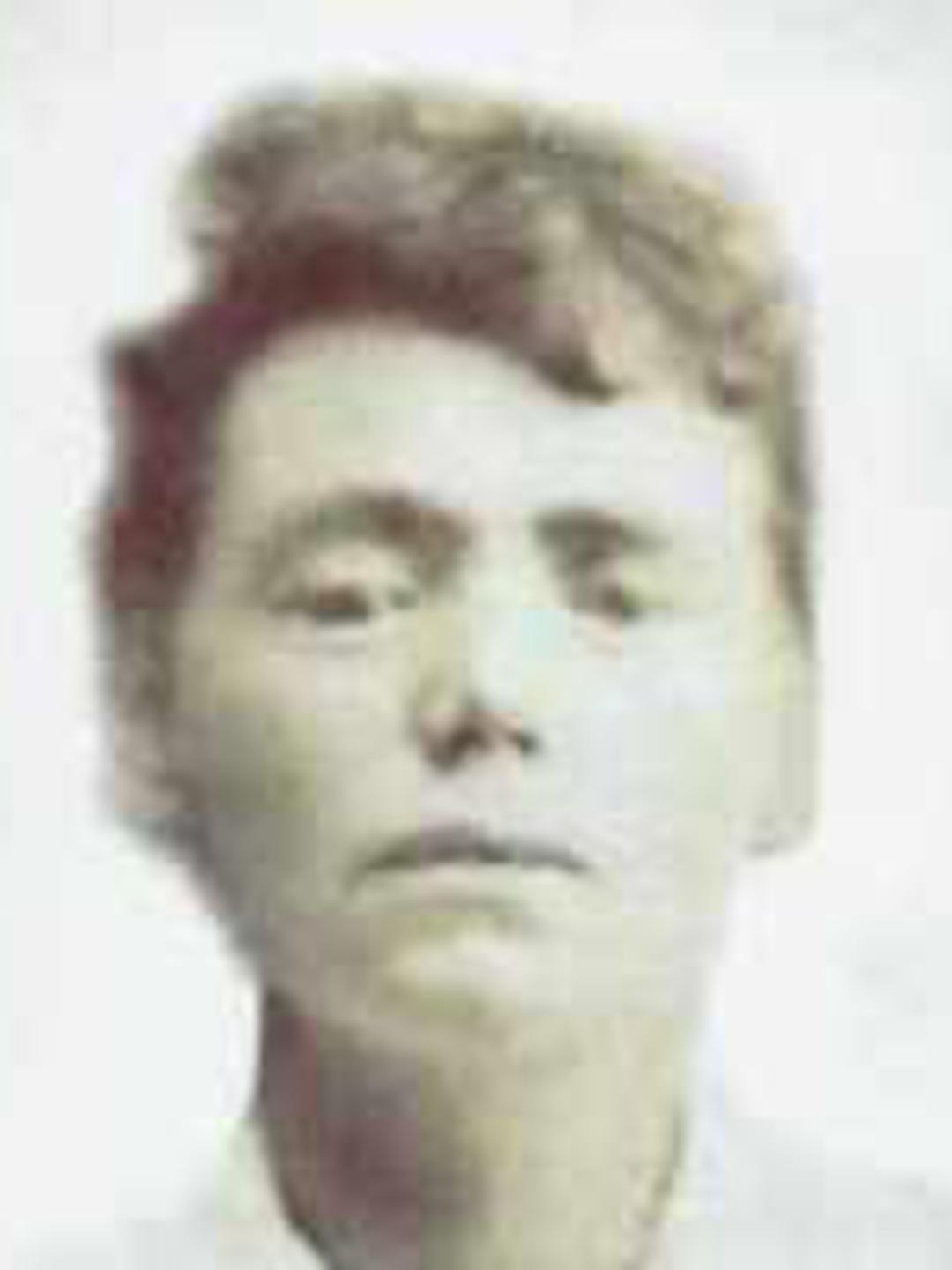 Ann Kay (1857 - 1930) Profile